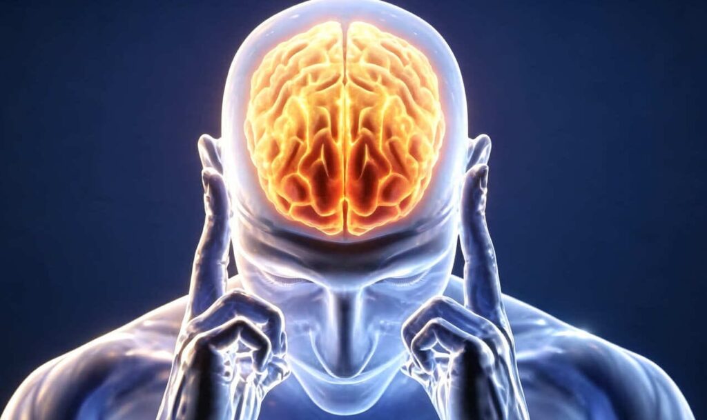 Neurología y estres