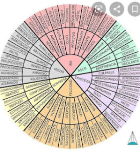 rueda de emociones